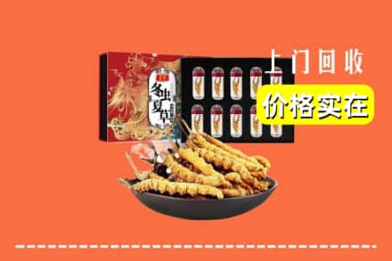 乌兰察布察哈尔右翼后旗回收冬虫夏草